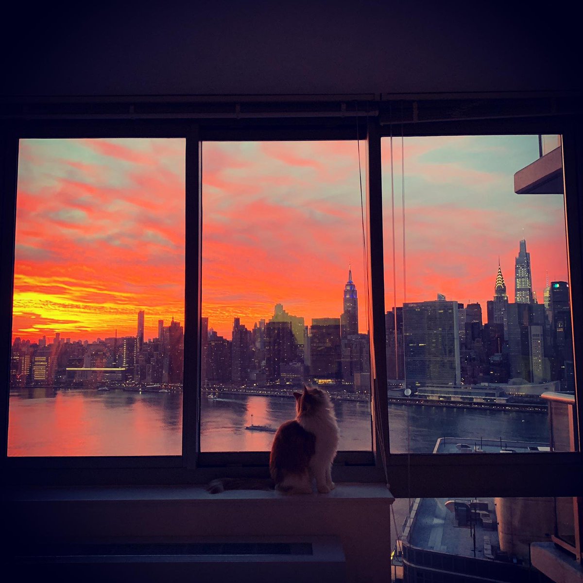 Thomas Morris tweet media