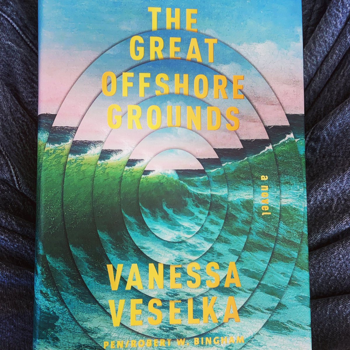 THE GREAT OFFSHORE GROUNDS by  @VanessaVeselka.  @AAKnopf.