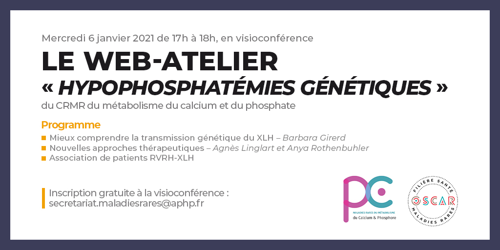 CRMRCaP (@crmrcap) on Twitter photo 📆 Save the date : Le CRMR CaP organise un web-atelier sur les hypophosphatémies génétiques le mercredi 6 janvier à 17h en visioconférence🧑💻
✍️ Inscription gratuite mais obligatoire : secretariat.maladiesrares@aphp.fr 📆 Save the date : Le CRMR CaP organise un web-atelier sur les hypophosphatémies génétiques le mercredi 6 janvier à 17h en visioconférence🧑💻
✍️ Inscription gratuite mais obligatoire : secretariat.maladiesrares@aphp.fr