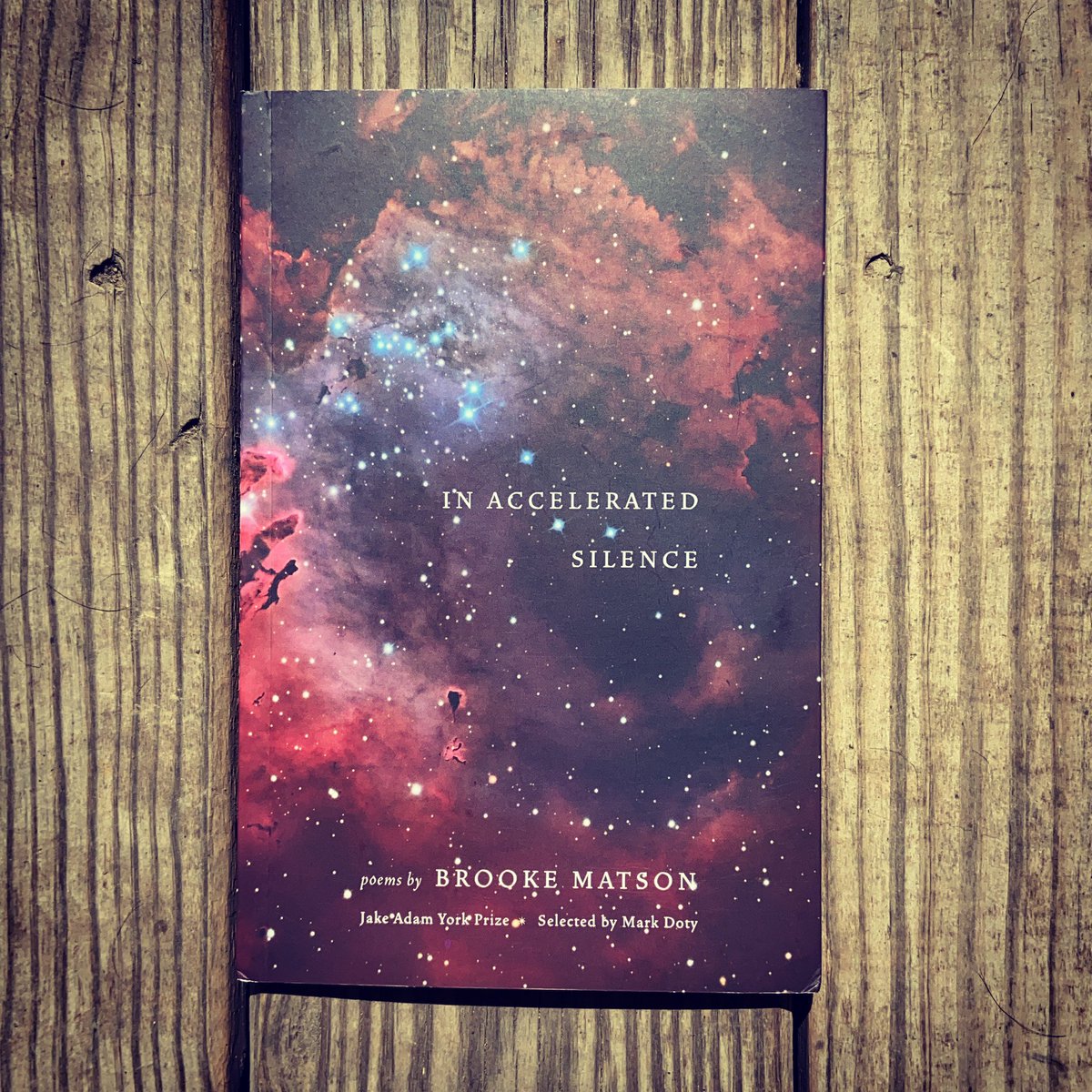 IN ACCELERATED SILENCE by  @Brooke4Matson.  @Milkweed_Books.