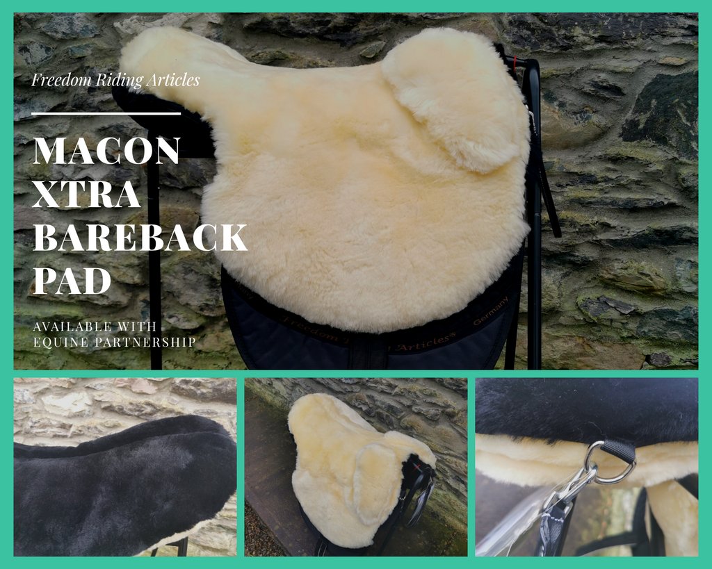 PhillippaC86's tweet photo. A wide range of bareback pads available on our online shop https://t.co/iSLMedD773
We ship worldwide 😊🌍

#bareback #barebackriding #barebackpad https://t.co/TorFmij9Gl