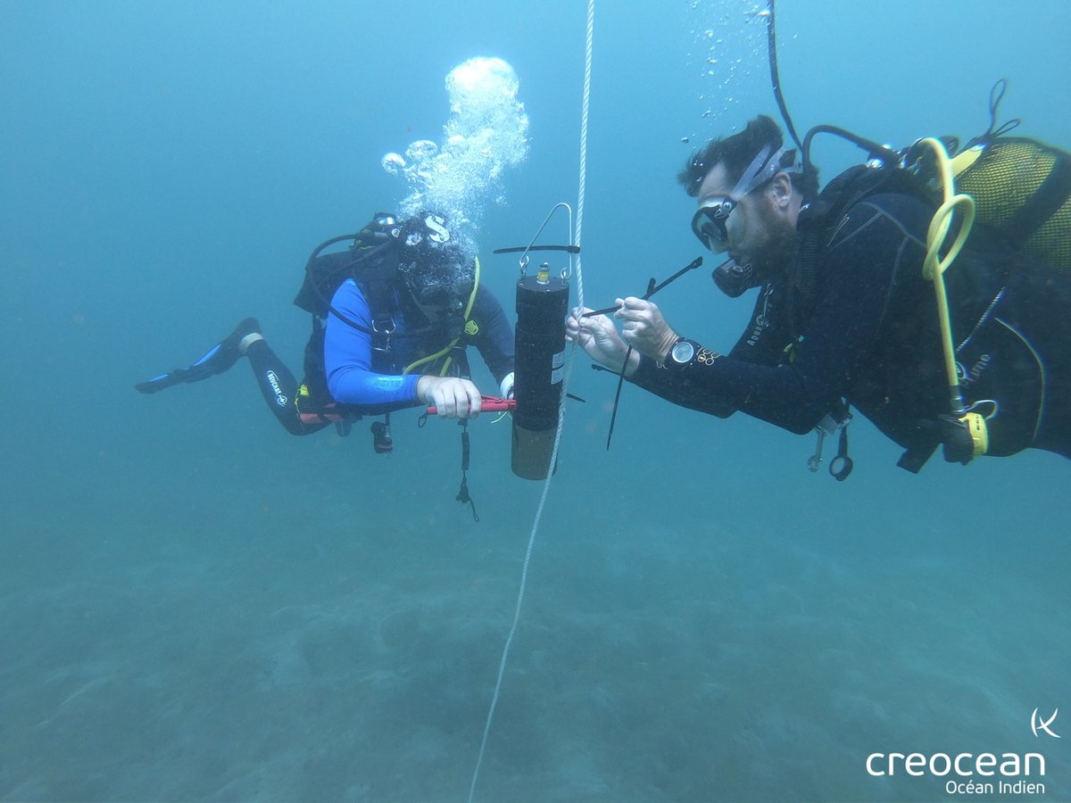 CREOCEAN_keran's tweet photo. Créocéan OI étudie l'envasement du lagon de Mayotte pendant la saison des pluies : installation des pièges à sédiment et des sondes de turbidité en continu au droit de 2 bassins versants. Pour plus d'infos sur le projet ENVALAG :
https://t.co/gu8Ir7ALjM
#sedimentation #Mayotte https://t.co/ihhgX9jQQ9