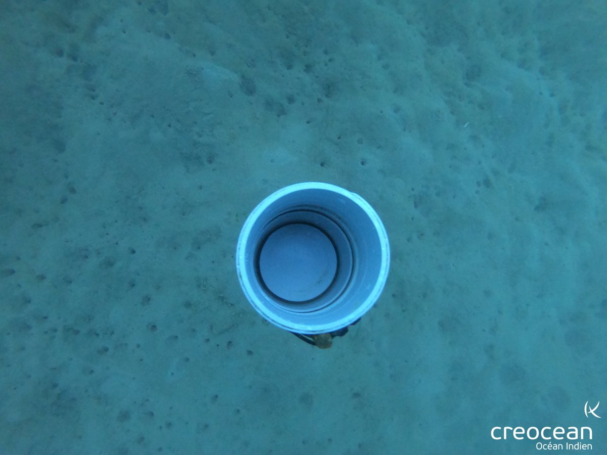 CREOCEAN_keran's tweet photo. Créocéan OI étudie l'envasement du lagon de Mayotte pendant la saison des pluies : installation des pièges à sédiment et des sondes de turbidité en continu au droit de 2 bassins versants. Pour plus d'infos sur le projet ENVALAG :
https://t.co/gu8Ir7ALjM
#sedimentation #Mayotte https://t.co/ihhgX9jQQ9