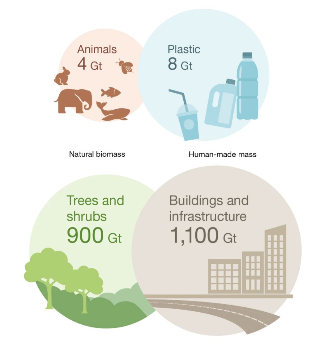 Thinking of skipping gifts this year? Here's some solid (and jaw-dropping) science from @nature to back your choice: "Earth is exactly at the crossover point: Global human-made mass exceeds all living biomass in 2020." 
#anthropocene 
nature.com/articles/s4158…