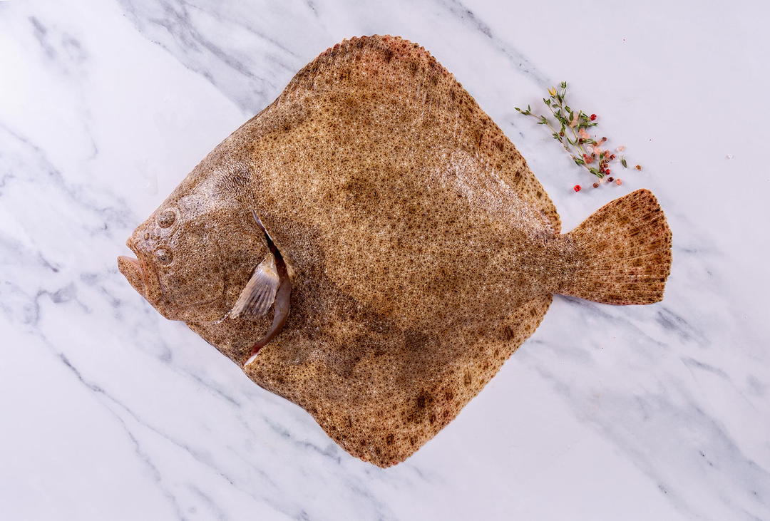 wingofstmawes's tweet photo. "Baby it's cold outside!" Nothing quite like turbot baked in a creamy sauce for a cosy winter warmer ๐ฅ
#thecornishfishmonger #cornishfish #christmasfish #christmasseafood #christmasfeast #christmasfoodideas #xmasfood #foodsofinstagram #instarecipe #seafooddelivery #sustainabl https://t.co/uo1Ue6Vtgb