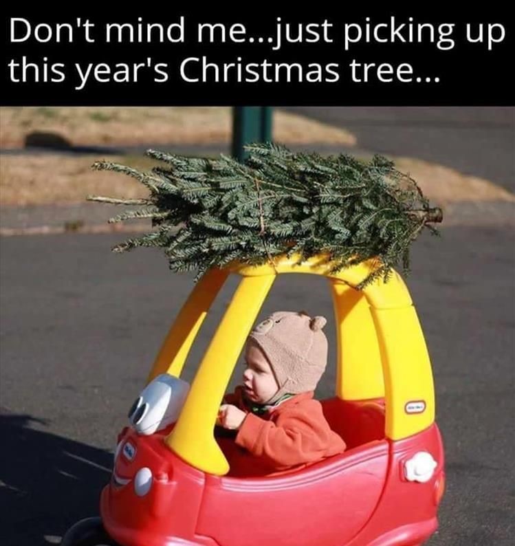 Are you ready for Christmas?? It seems like there's always so much to do. Looks like this fella will help you with a tree, as long as you don't mind it a bit on the small side. If getting your transmission serviced is on your list, give us a call, we can help with that! 🎄🚗