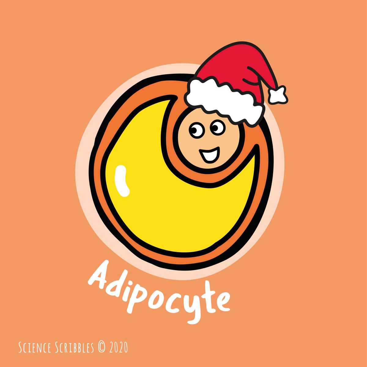 Science Scribbles tweet media