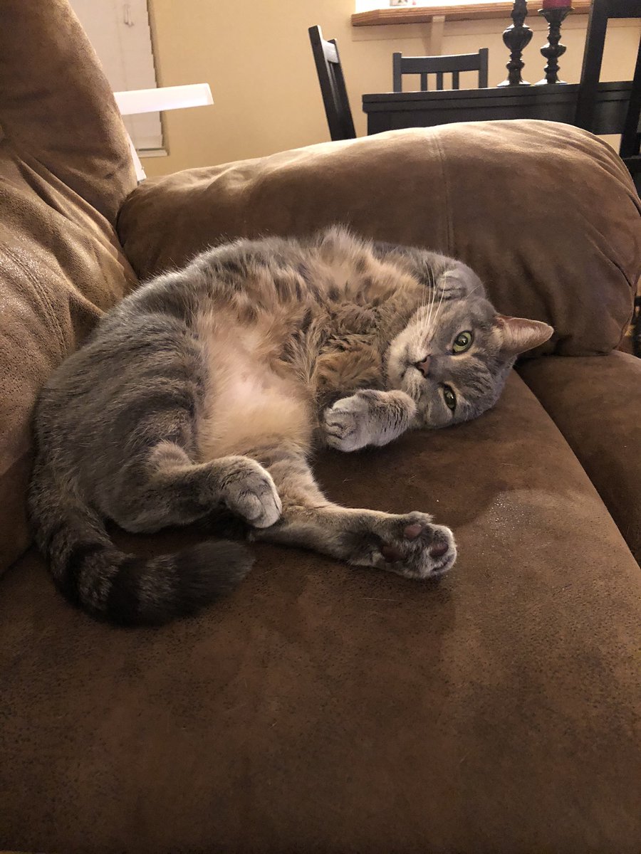 tinybroccoli's tweet image. i'm really missing her today 🥺