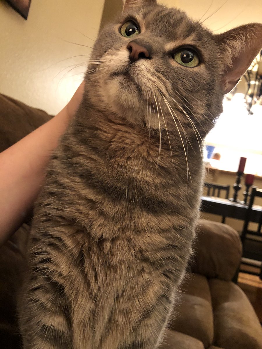 tinybroccoli's tweet image. i'm really missing her today 🥺