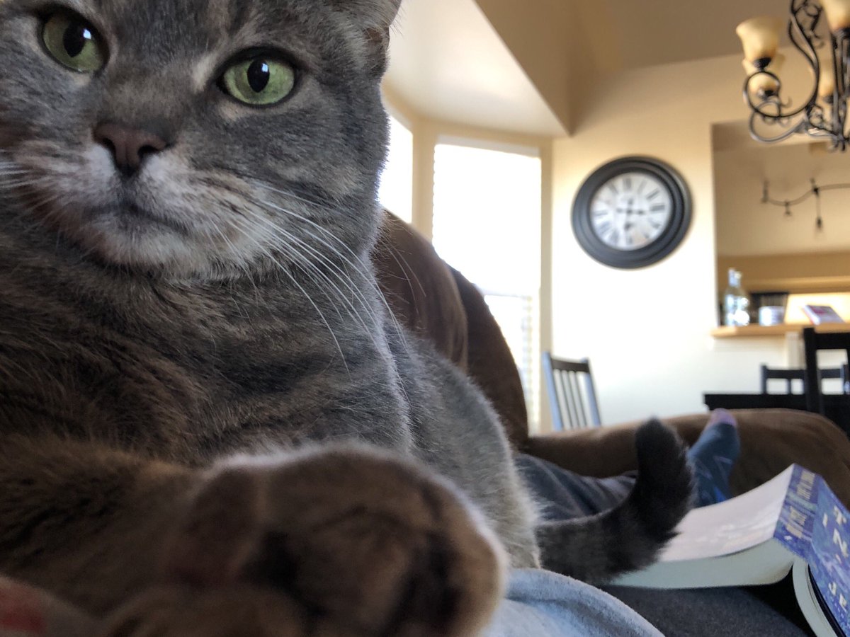 tinybroccoli's tweet image. i'm really missing her today 🥺