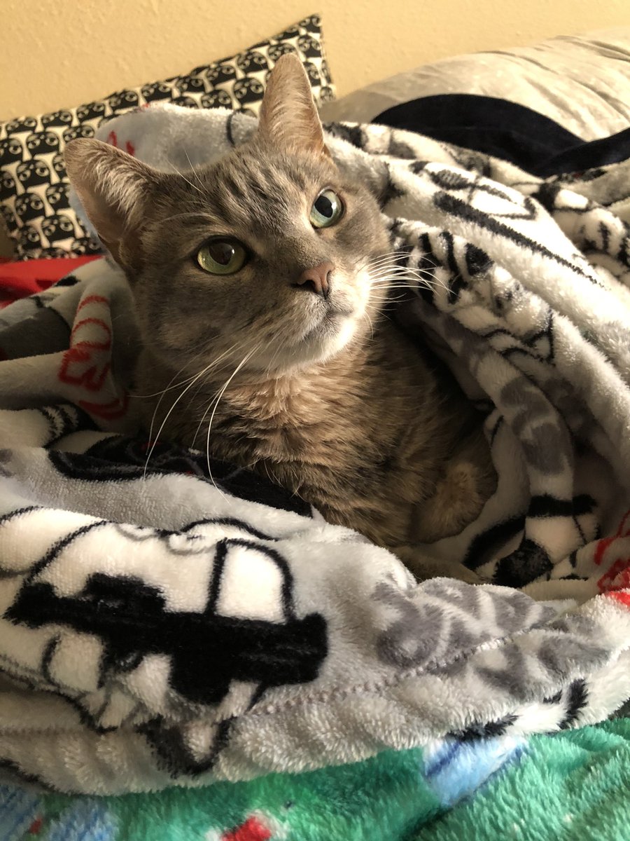 tinybroccoli's tweet image. i'm really missing her today 🥺