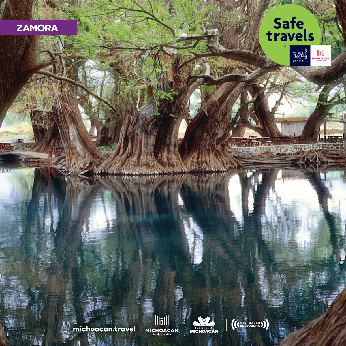 Si quieres conocer un lago con aguas cristalinas, y una paz increíble, el lago de camecuaro es el lugar ideal para tener contacto con la naturaleza, sus árboles de ahuehuete, que crecen en este lugar y hacen del paisaje un lugar maravilloso. #CelebraLaVida en #Michoacán