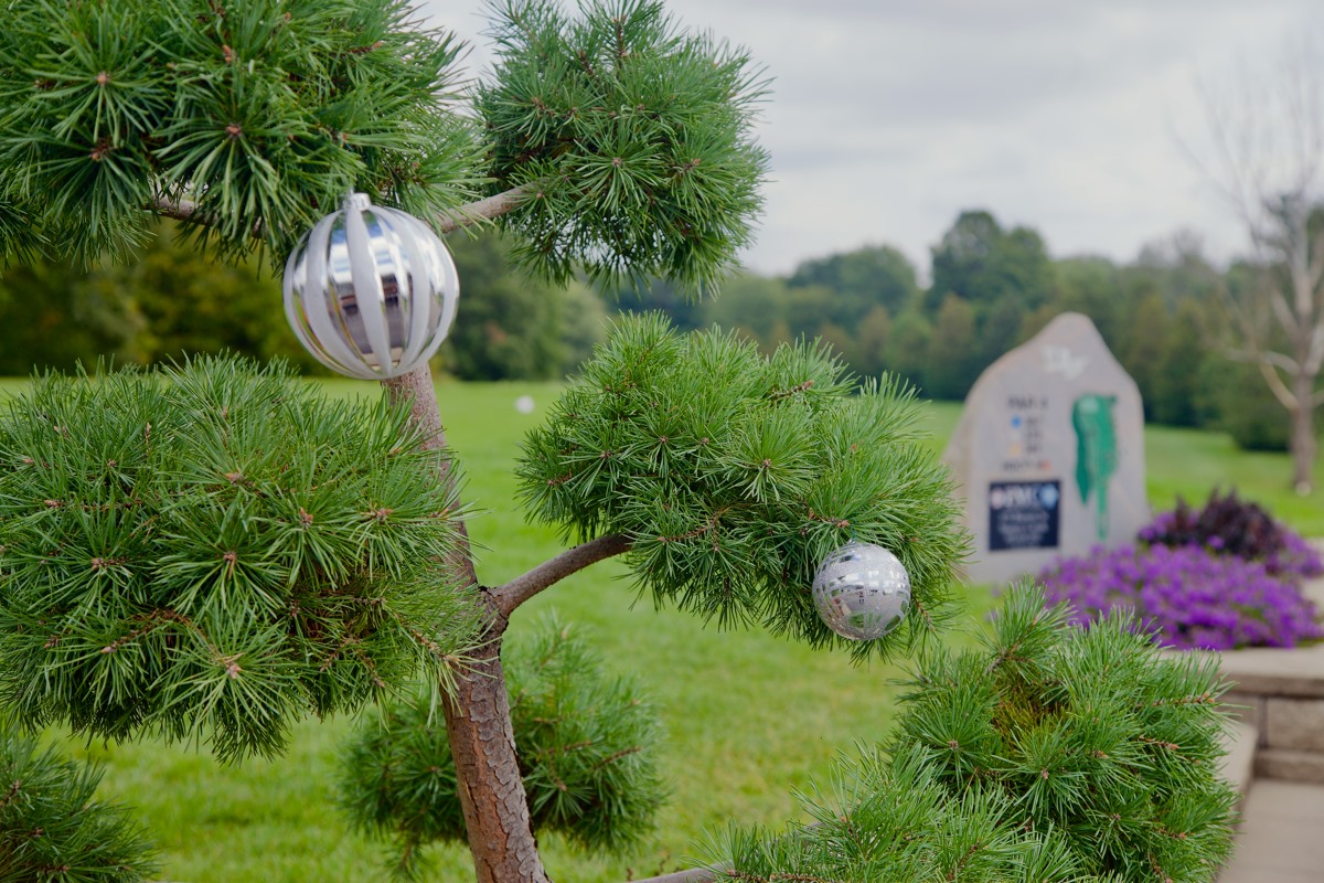 SouthbrookGC tweet media
