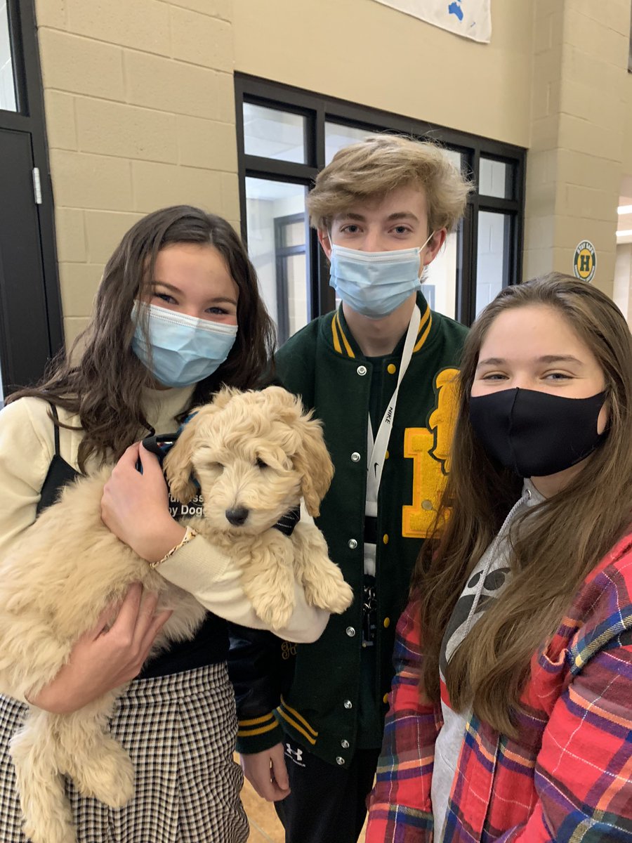 WLWPashak's tweet photo. Our newest Highlander, Finn, came for a visit today and he is perfection. Everyone loves him already! @HowellMISchools @HowellSchrock #LightHouseSMC https://t.co/CTgjKIaLJa