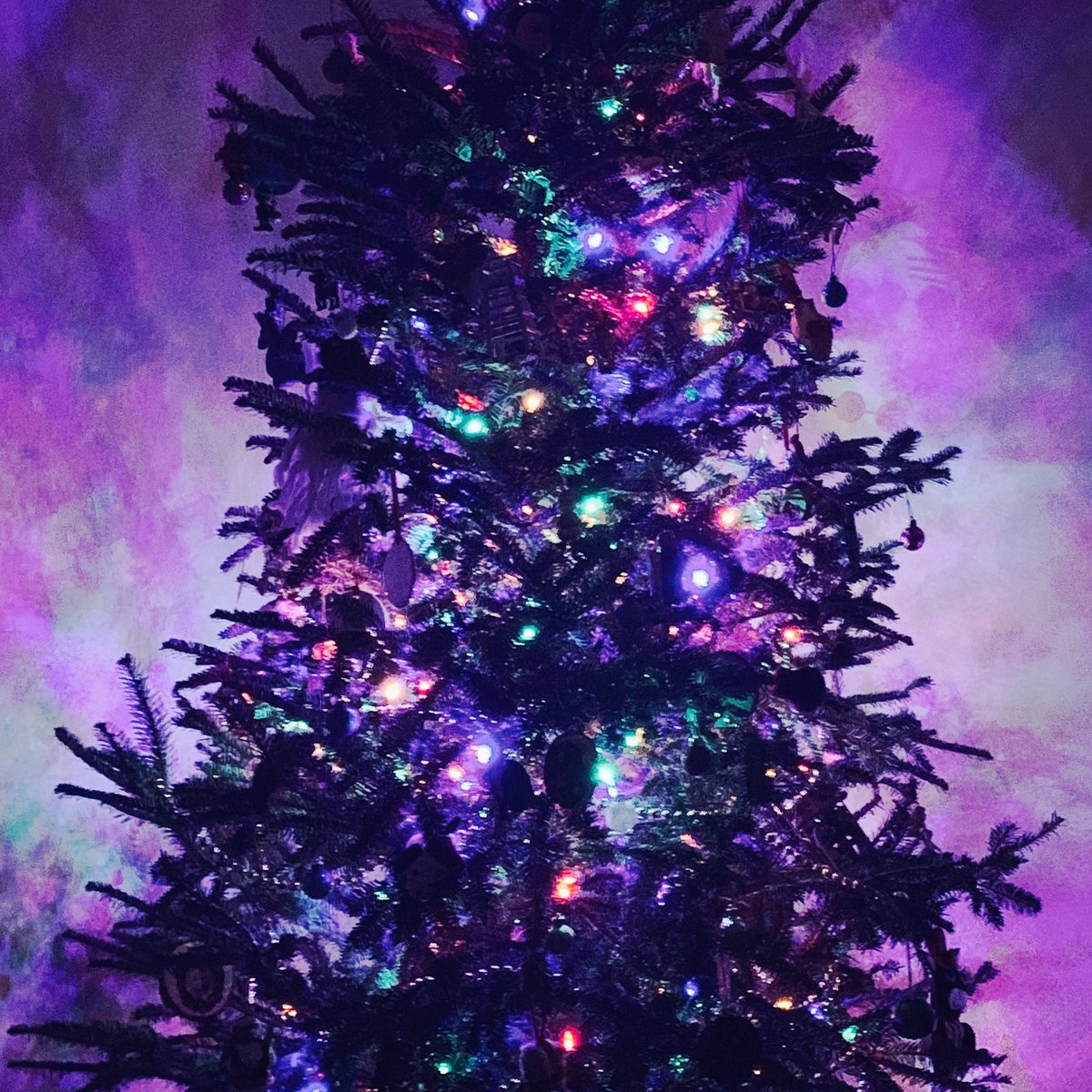 ANRmiami's tweet photo. 2 new holiday jams to xxXMASxx cheer u up!

https://t.co/h0OMGPwepb https://t.co/c5q39RoDpC