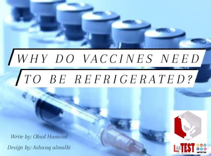 LabTestKSA's tweet photo. Why do vaccines need to be refrigerated ?💉
#LabTestKSA
#خبر_اليوم
#immune
#Vaccine https://t.co/7LR5T2zmqA