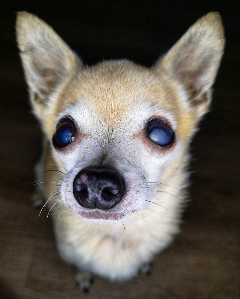 Old age is gift, enjoy, appreciate and welcome it.