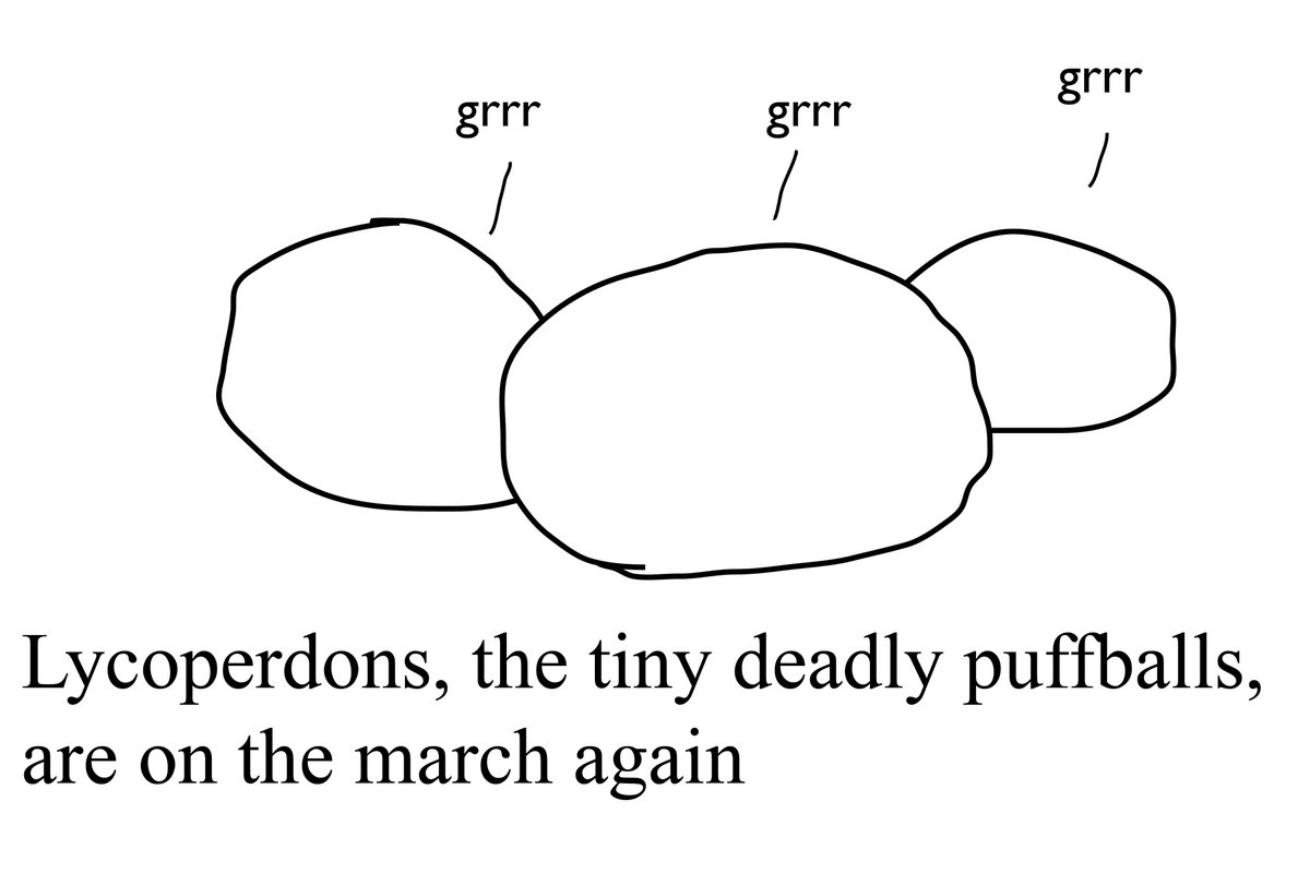 Scientists: actually puffballs are only sometimes deadly and can get quite large. and to say that they "march" is not quite correct, instead picture dense billowing clouds of near-invisible spores that