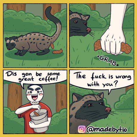 MickeyBell's tweet photo. @eef_nestor why poop make coffee

meme creds to @madebytio https://t.co/ZrLAqwd7Rh