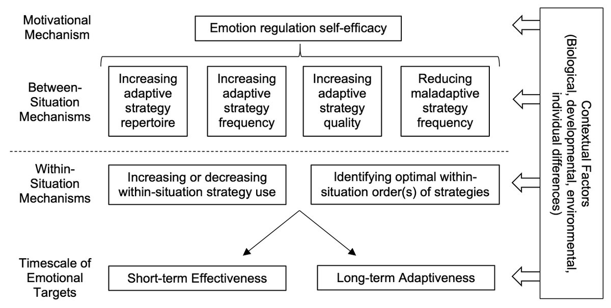 Our framework has 4 levels:1) Motivational mechanisms2) Between-situation mechanisms3) Within-situation mechanisms4) Timescale of targets+ room for contextual effects at each level!