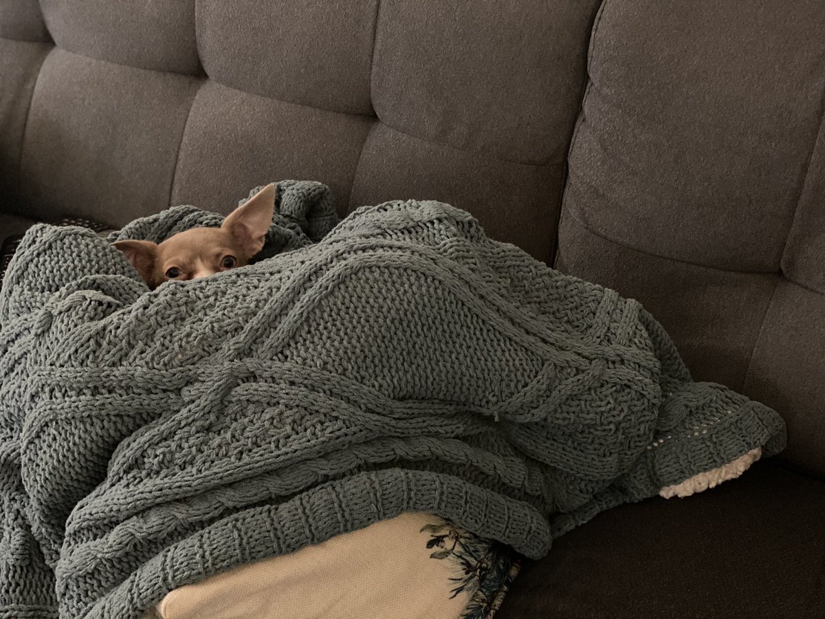 K.C. Harper SEEKING REP (romance) soon! tweet media