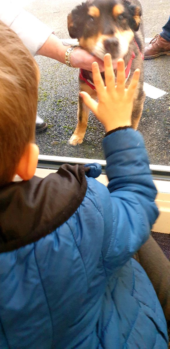 LynburnNurture's tweet photo. We had a lovely window visit from Ozzy, our therapet today. It was so lovely to see him, we have missed him so much and we are very grateful to Gail for keeping in touch #therapet #Ozzy #WindowVisit https://t.co/nb8lyLMgDq
