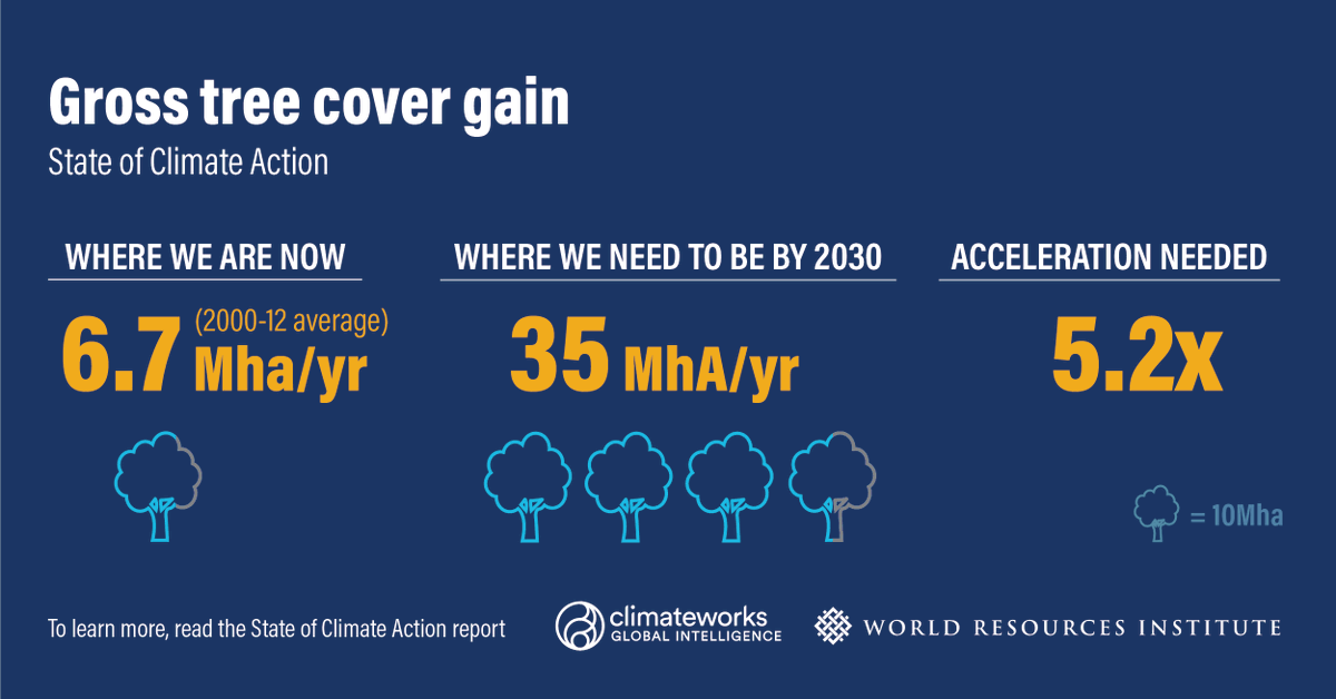 Tree cover gain must increase at 5x the current rate between now and 2030 to limit warming to 1.5 degrees Celsius.  #TogetherForOurPlanet  #ClimateAction  