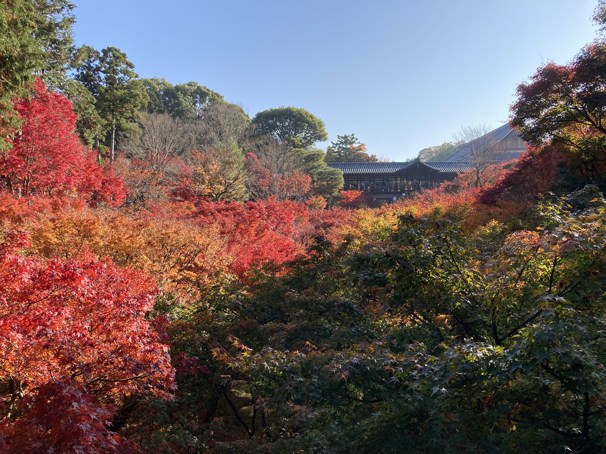 Papigiulio's tweet photo. Tofukuji temple, Kyoto https://t.co/RmzJTwAh93