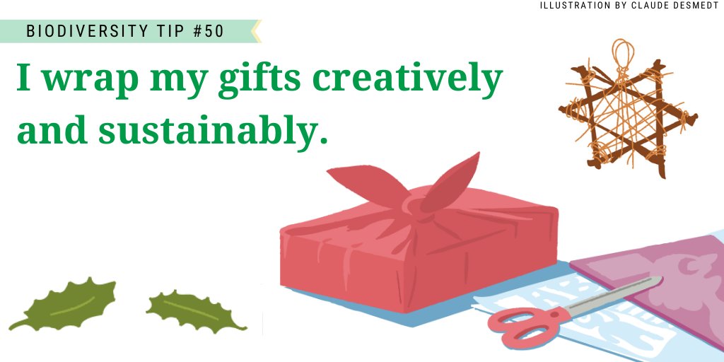 UNBiodiversity's tweet photo. Along with many people around the world, we're getting into the holiday spirit for our #BiodiversityTips series!

Tip 5️⃣0️⃣: I wrap my gifts creatively &amp; sustainably

Make your celebrations #nature-friendly.

Adapted from a @EU_Commission publication:
https://t.co/gYyftfPQdk https://t.co/dIEVuksCj5