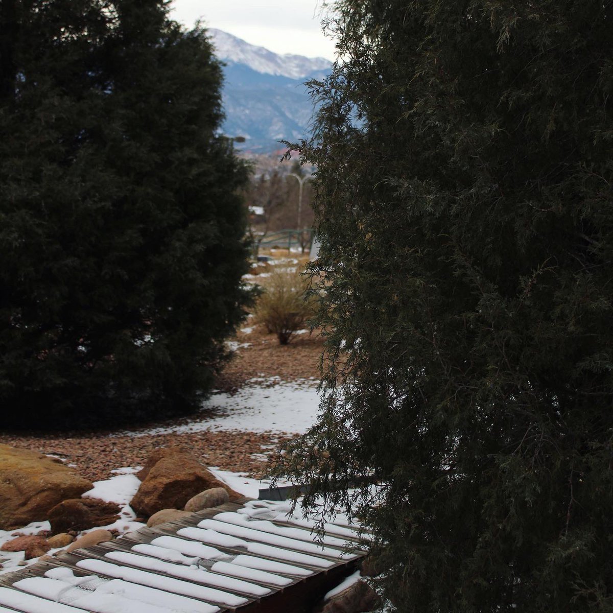 AlphaSigUCCS's tweet photo. It’s a cold start to finals week. Just remember to stay warm and finish strong! Good luck!

#alphasigs #finals #alphasiguccs #mountainlions #UCCS #FinalsWeek https://t.co/zhMcNIqvwm