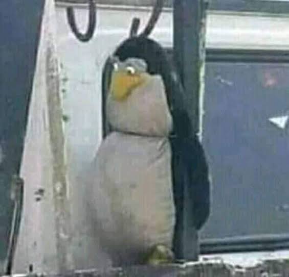 montiett's tweet image. Mi habilidad para jugar.

Mi internet o datos: