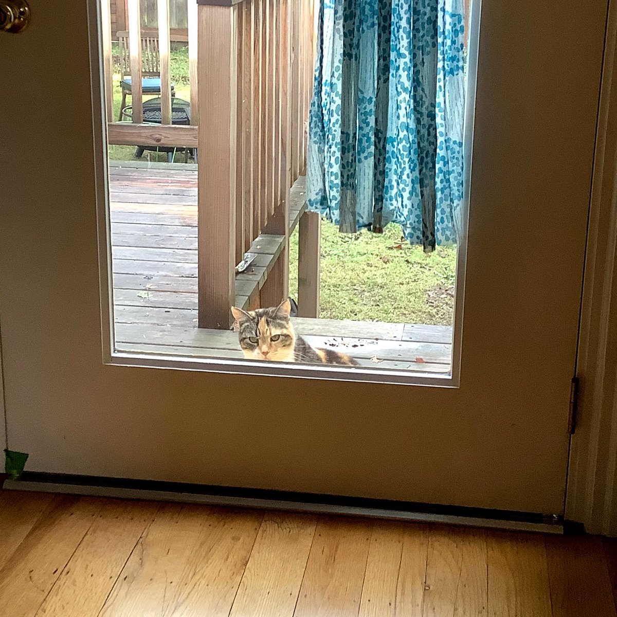 update: cat only works M-F