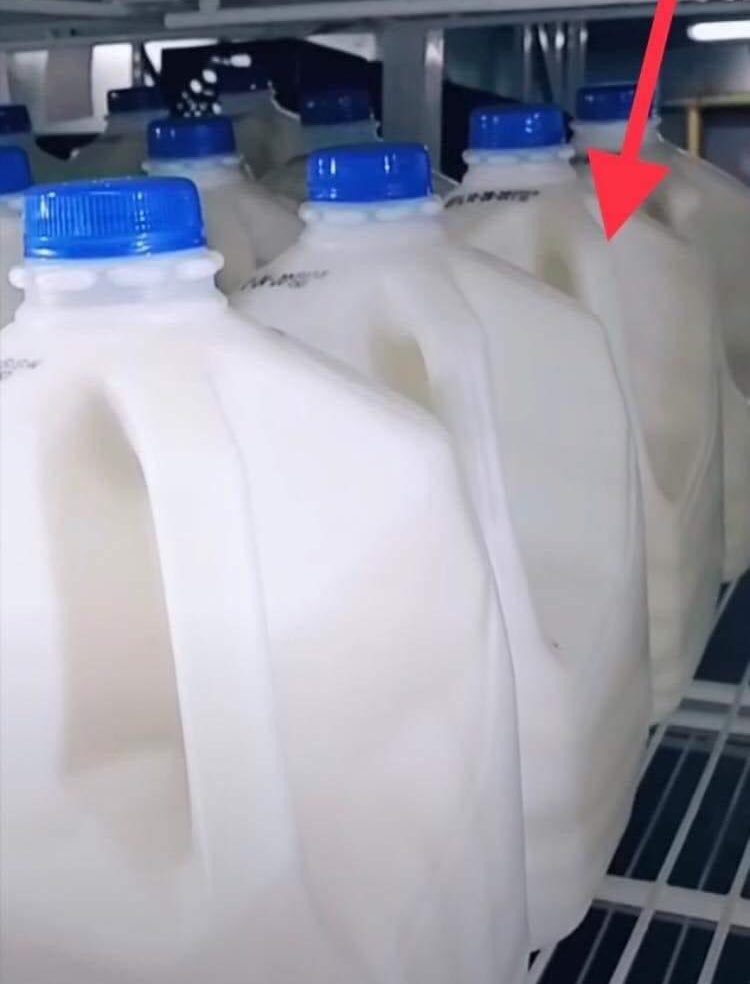 🚨OJO 🚨 

Cuando vayan al supermercado a comprar leche nunca escojan la tercera, porque la tercera es la vencida.

GRACIAS POR SU ATENCIÓN.
