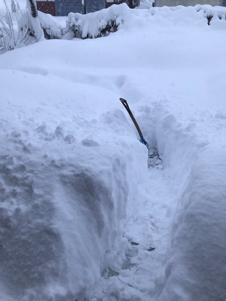 雪かきスコップに雪がくっつかなくなる裏ワザ Chietoku Jp