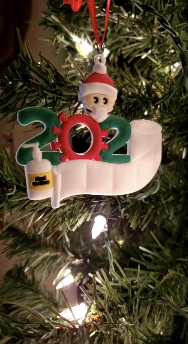 MsBubbles1_'s tweet photo. My 2020 Christmas ornament. A sign of the times. Merry Christmas &amp; Happy Holidays everyone! 🎄🎅🎁 https://t.co/tTxHoCnUJQ
