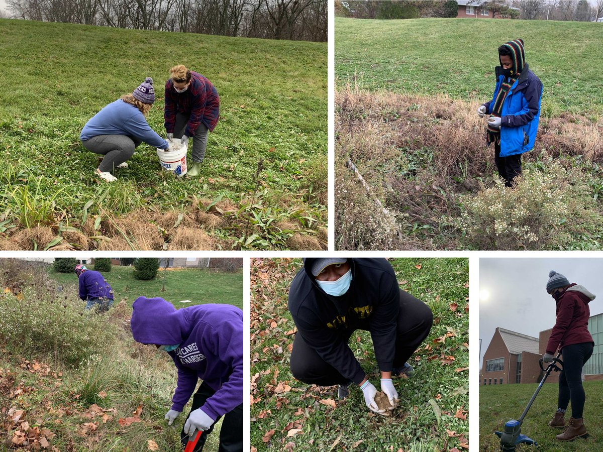 acc_climate's tweet image. What better way to start the week than with #StudentsOfCSCS?! At @BlufftonU, some students held a milkweed planting party!! 🦋🦋🦋 

Thank you for your life-giving example of creation care - we&apos;re sure the #monarchs are grateful too! #ClimateActionInYourArea