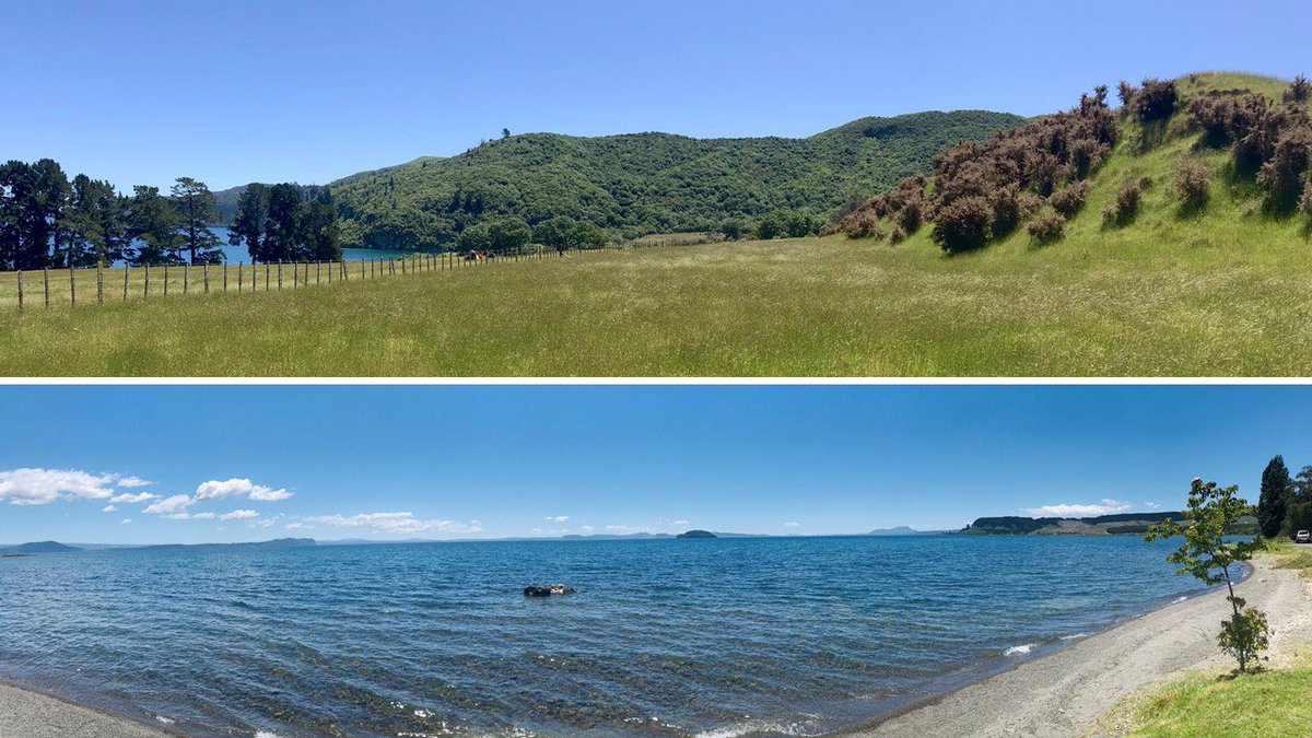 James Muirhead tweet media