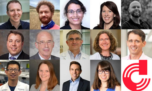 CureEpilepsy's tweet photo. Announcing the CURE Epilepsy Research Continuity Fund awards supporting vital research that was affected by COVID-19. These grants were made possible by the generosity of the Cotton family in memory of Vivian Cotton. Read more https://t.co/FUy1P2Qsnb https://t.co/iX7fapaXLZ