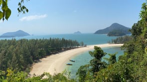 Well-Being Travel tweet media