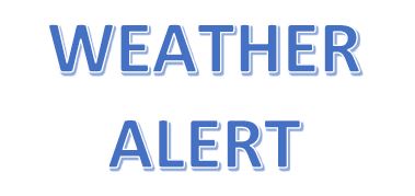 Food for Students tweet media