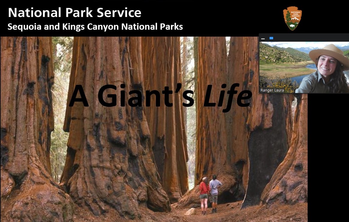 SequoiaKingsNPS's tweet photo. The Sequoia and Kings Canyon National Parks education team is now offering virtual programs! We are currently delivering programs for K-8th graders. For more information, please reach out to SEKI_RITC@nps.gov.

Photo: Sequoia Parks Conservancy/Cade Castle https://t.co/IjeP4dmUrU