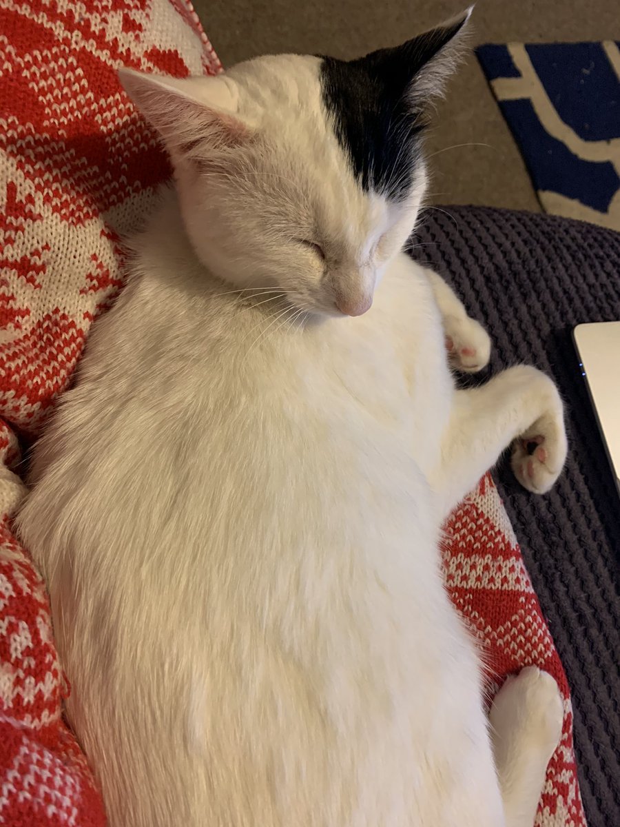 Preece_Kelly's tweet photo. Thanks you everyone who came to @ExeterDoctoral #DCWriting Now That’s What I Call Shut Up and Christmas!! Was great to see you all and doing some quizzing, with my attentive assistant. https://t.co/a3hBS6Lm2U
