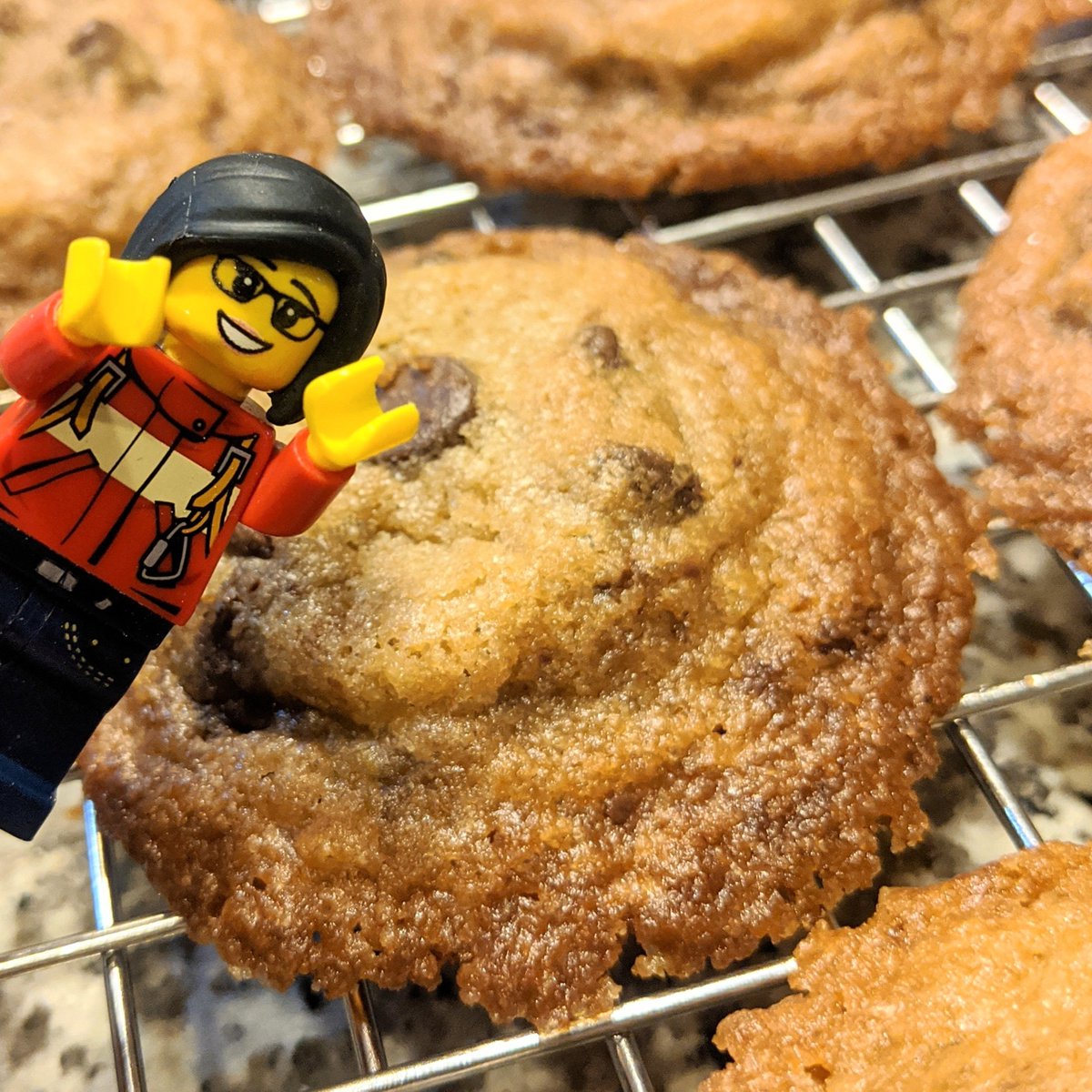 ohthatkat's tweet photo. Cookieeeees!

#legokat #cookies #chocolatechip #sigfig #Cisforcookie #nomnomnom #ifyoucantbericheatrich https://t.co/dPFHTWkHXS