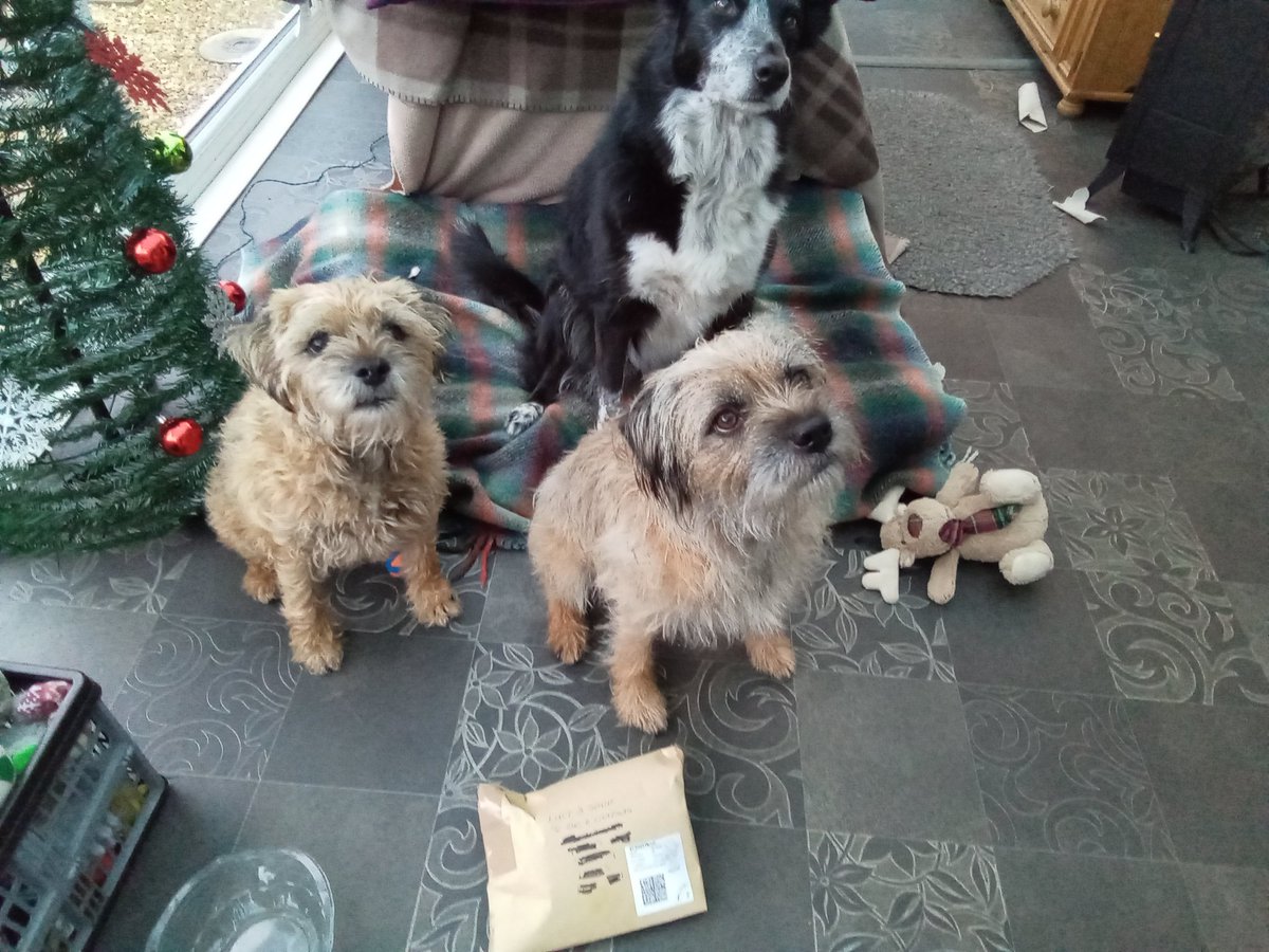 #btpsanta Elo palz we twy agin! Lekkytwisitee went oft! De posty ladee bwing uz a parsil fwom Secret Santa we fank u so much! Mummy az idden it pfft! Luff LucyLooBT and SonnyBT xxx
