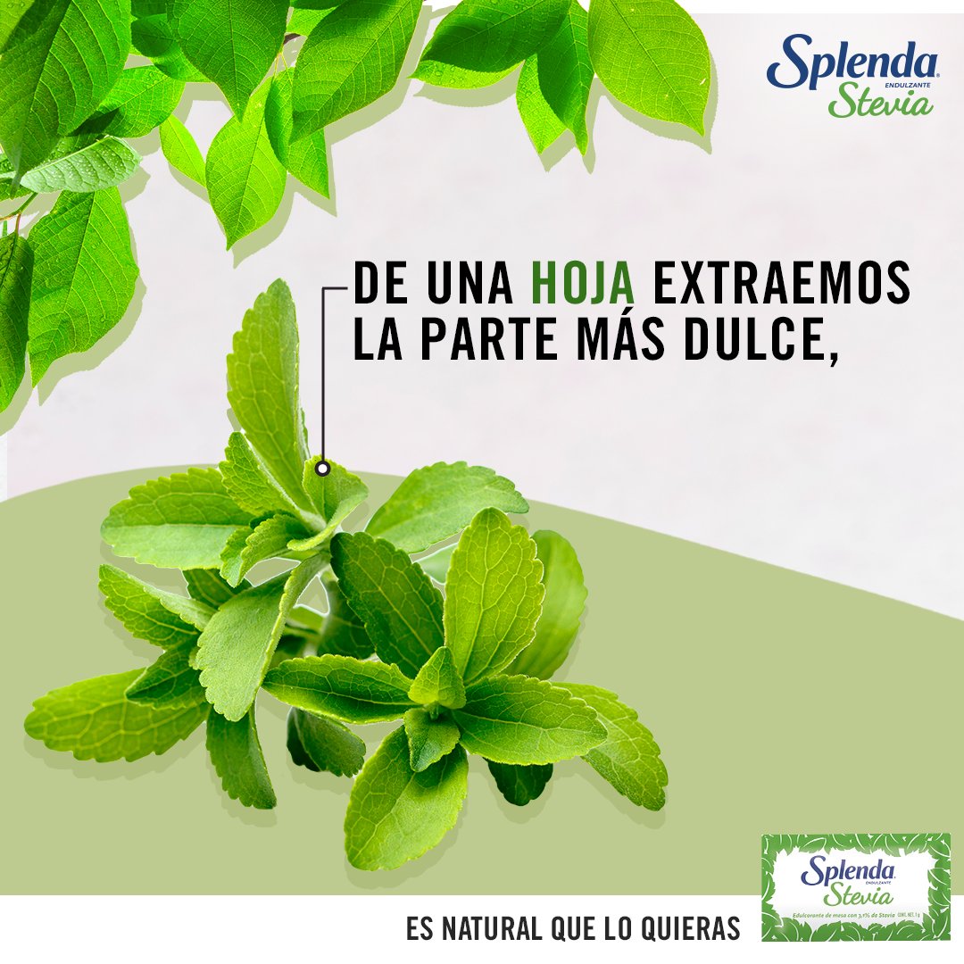 SPLENDALatam's tweet photo. 🚨¡Hilo importante!🚨 https://t.co/Y0E8yfwN38