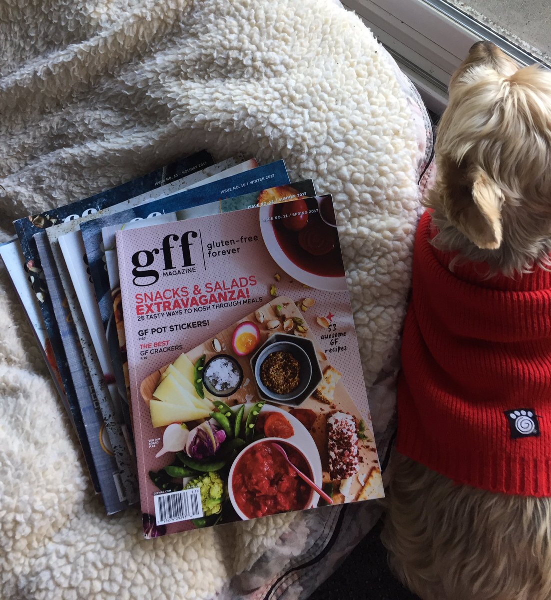 <a href="/GFFmag/">GFF Magazine</a> Use them all the time