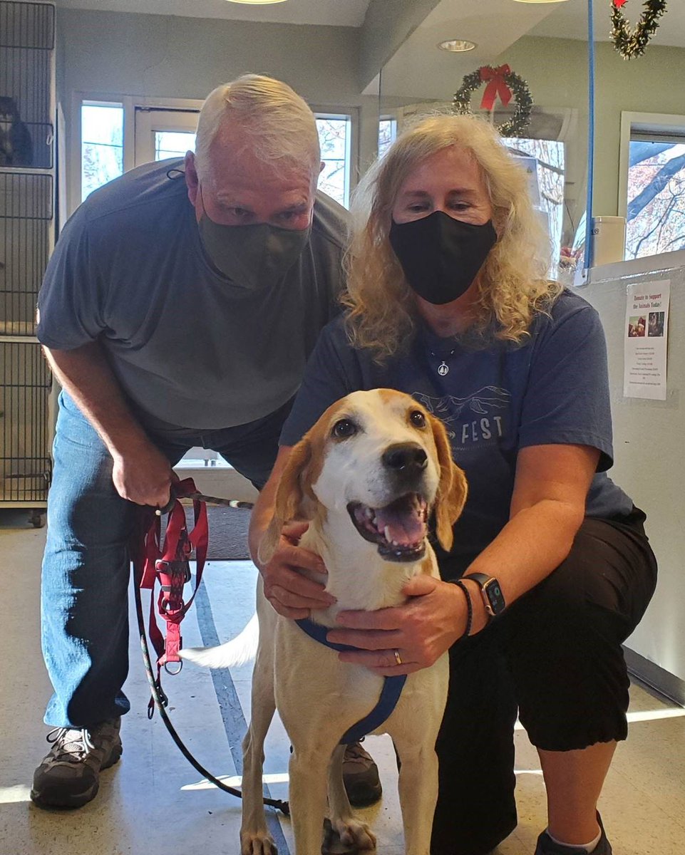 humanecharlotte's tweet image. 50 Scent was adopted over the weekend. His adoption fee was sponsored by Matt Kislowski and @Perficient. 50&apos;s new parents are now passing on the love and sponsoring AJ&apos;s adoption fee! 😍

Learn more about AJ at petango.com/HSC 🐶