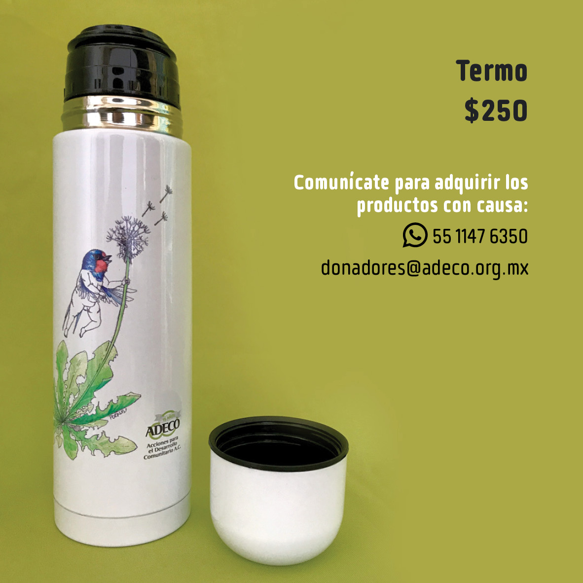adecoac's tweet photo. Queremos agradecer a todas las personas que participaron en el festejo de #Adeco15años. Aquellas que ofrecieron talleres, pláticas, debates, música, teatro y gráfica. También a quienes pasaron a saludar. https://t.co/71UODAI3FJ
