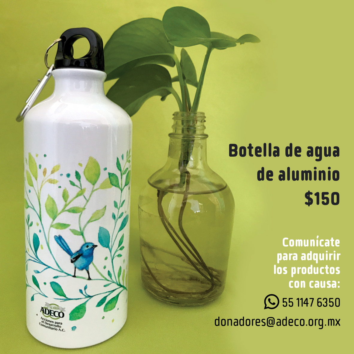 adecoac's tweet photo. Queremos agradecer a todas las personas que participaron en el festejo de #Adeco15años. Aquellas que ofrecieron talleres, pláticas, debates, música, teatro y gráfica. También a quienes pasaron a saludar. https://t.co/71UODAI3FJ