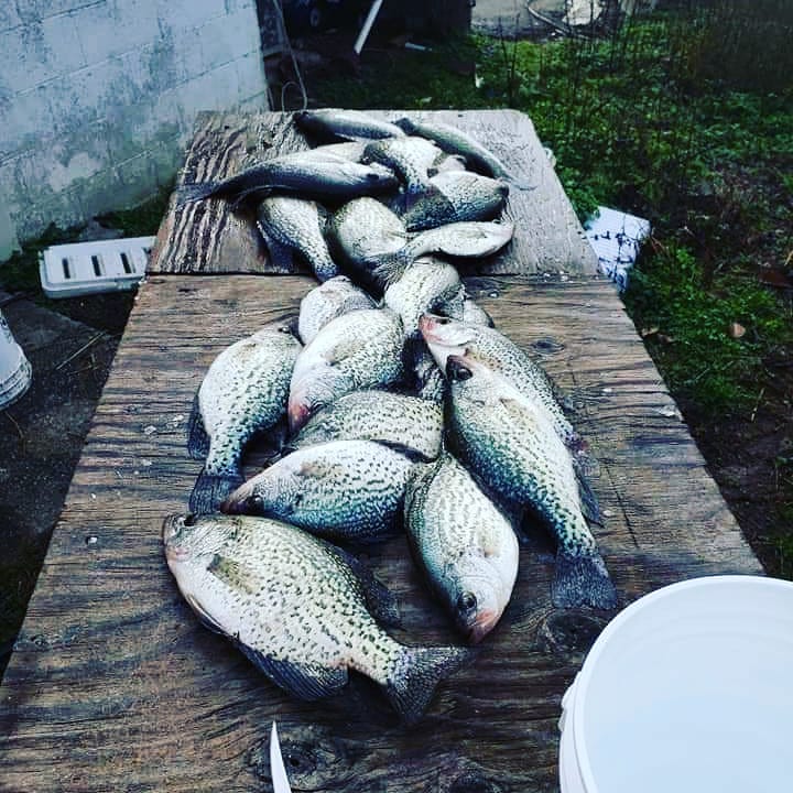 FishermanHoust1's tweet photo. I love fishing .Do you love fish!!!🤩🤩
#fishing_lovers_usa #fishphotography #fishingaddict #fishtank #fishnatural #fishingdaily #fishingbeauty
#fishingrod #fishhotpot #fishing https://t.co/4PJmZUv9lv